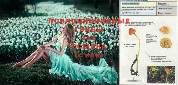 бутик Михайловск